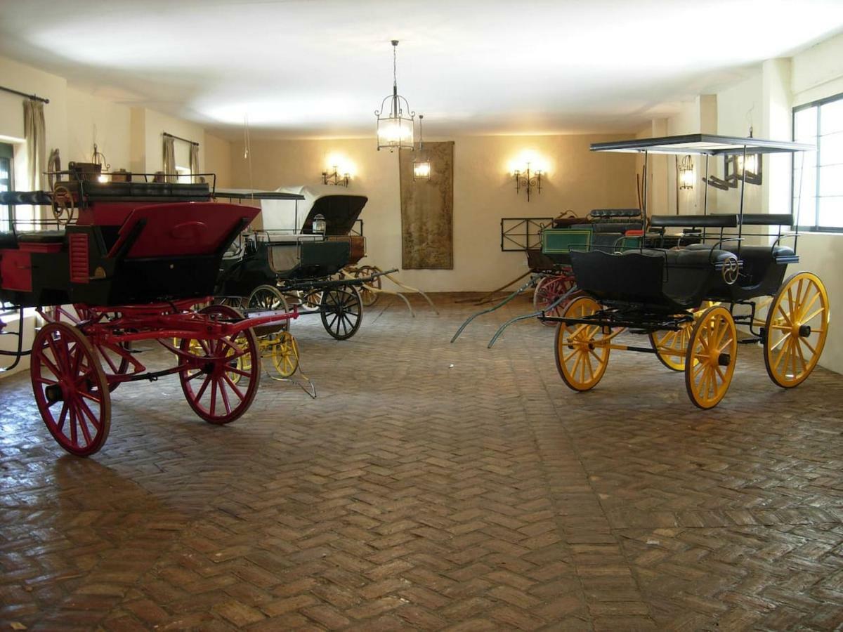 Casa en la campiña sevillana con piscina exclusiva Écija Esterno foto